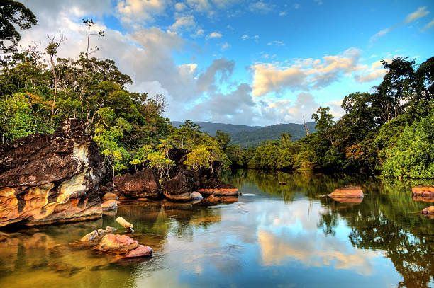 Beautiful river in madagascar