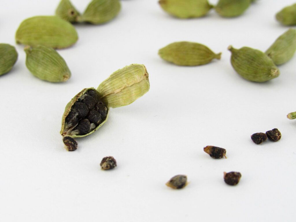 Herbal tea cardamom image