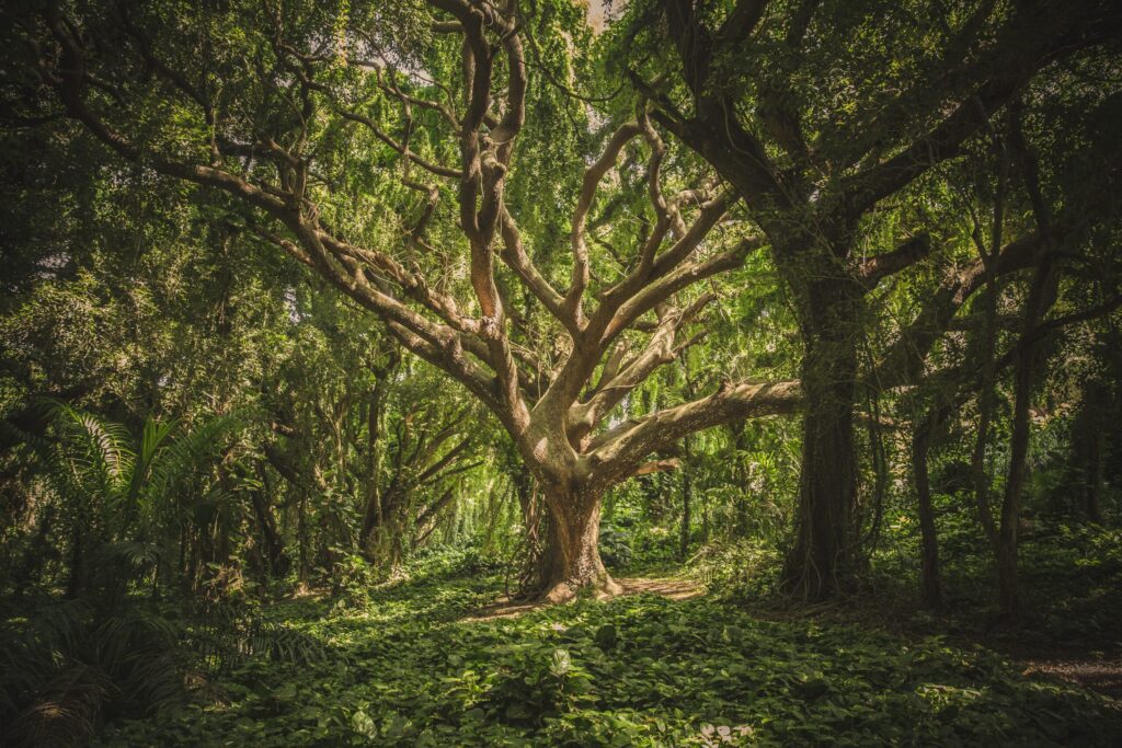 Root Chakra | 3 Strong Grounding Meditations That Will Inspire ...