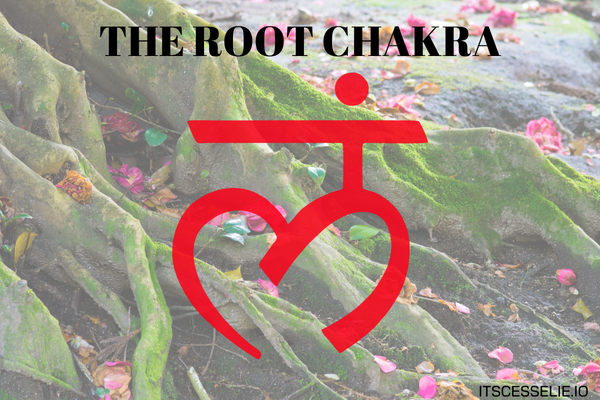 The root chakra cover image