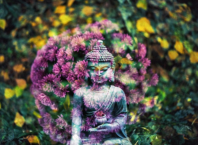 The chakras with a buddha