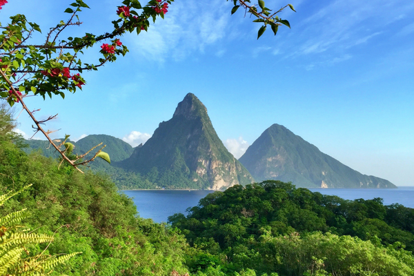 Saint lucia  coast harvesting for sea moss