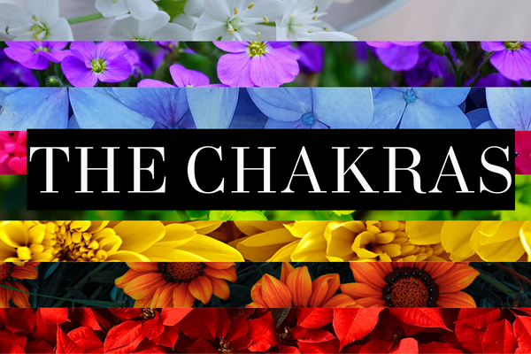 The chakras 7 flower cover art
