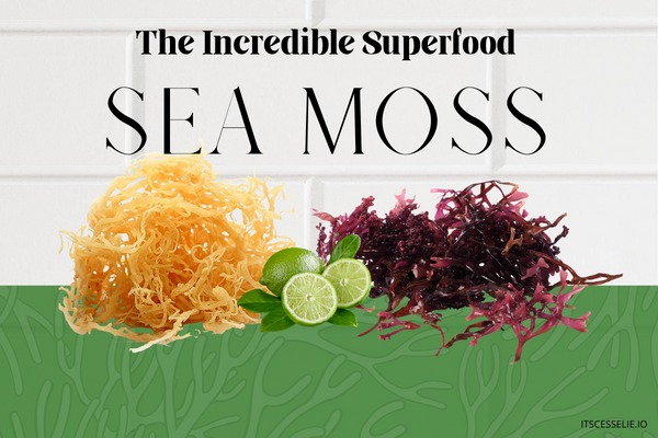 Sea moss the superfood cover