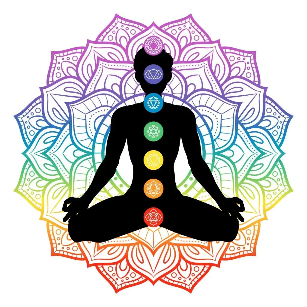 The chakras are spinning wheels of vital energy