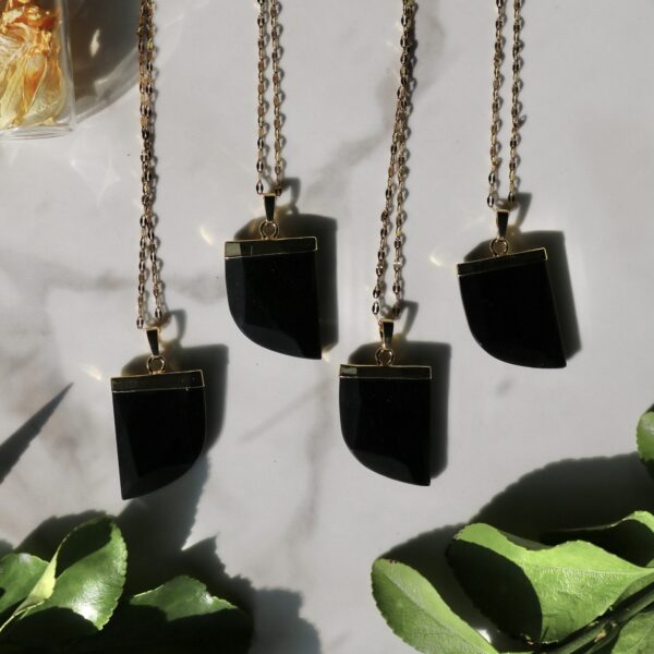 Obsidian black horn necklace