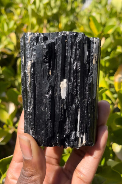 Discover the Magic of Black Tourmaline: From Chakras to EMF Protection