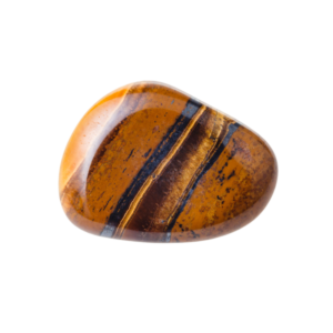 Tigers eye