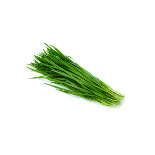 Chives