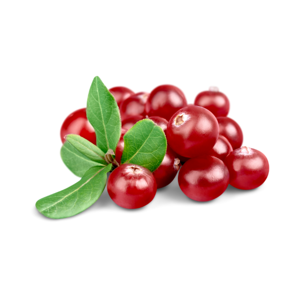 Nature'S Remedies: Hidden Medicinal Magic Of Healing Herbs And Plants 13 Cranberry
