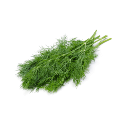 Dill