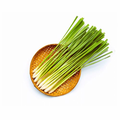 Lemongrass