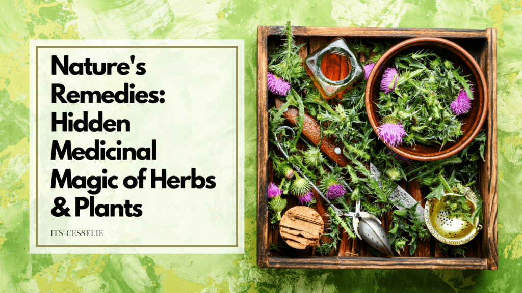 Natures remedies hidden medicinal magic of herbs and plants