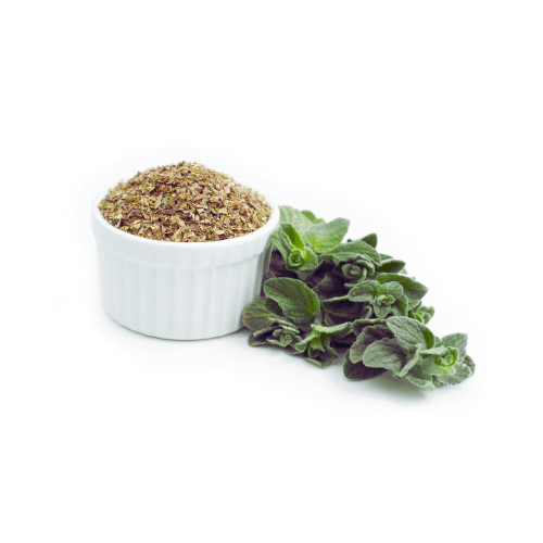 Oregano