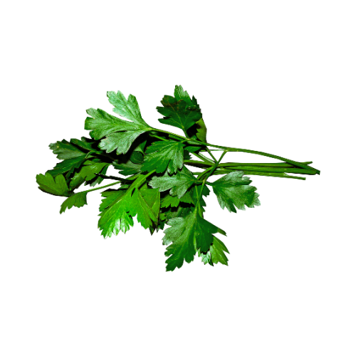 Parsley