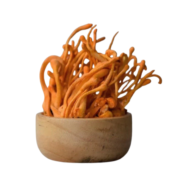 Nature'S Remedies: Hidden Medicinal Magic Of Healing Herbs And Plants 41 Reishi