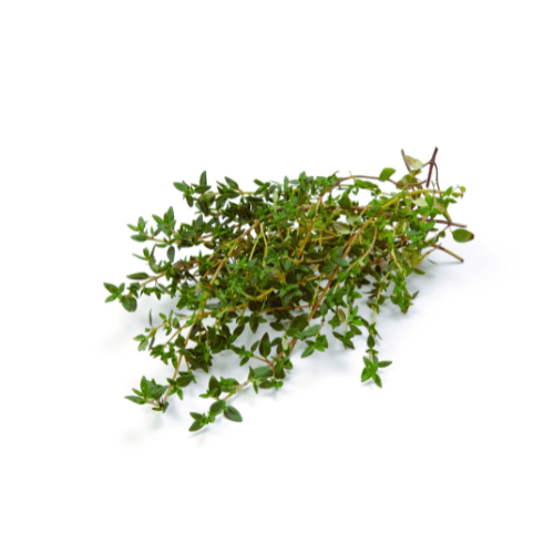 Nature'S Remedies: Hidden Medicinal Magic Of Healing Herbs And Plants 51 Thyme
