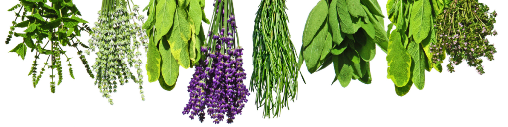 Nature'S Remedies: Hidden Medicinal Magic Of Healing Herbs And Plants 1 Herbal banner