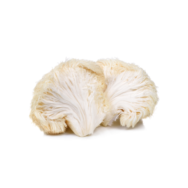 Nature'S Remedies: Hidden Medicinal Magic Of Healing Herbs And Plants 32 Lions mane