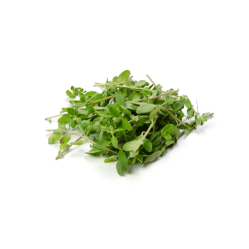 Marjoram