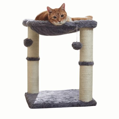 Cat essentials hammock scratch post