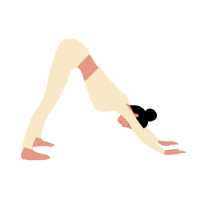 Adho mukha svanasana downward facing dog