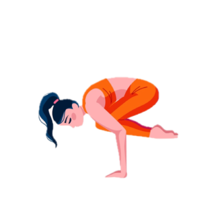 Bakasana crow pose