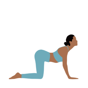 Bitilasana cow pose