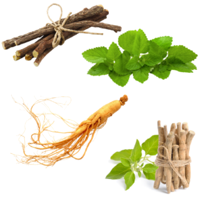 Herbs