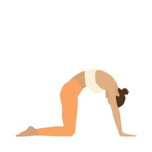 Marjaryasana cat pose