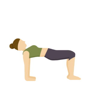 Purvottanasana upward plank pose